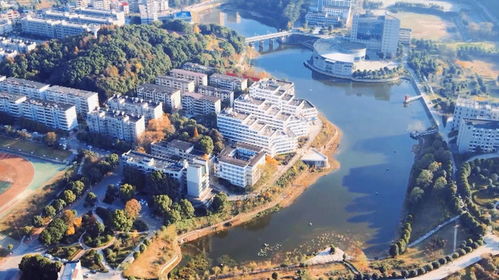 邵陽學院花巨資引海歸博士 批量培養是否可取