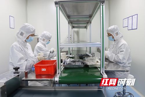 瀏陽經開區 邁向醫療器械產業高地的創新實踐